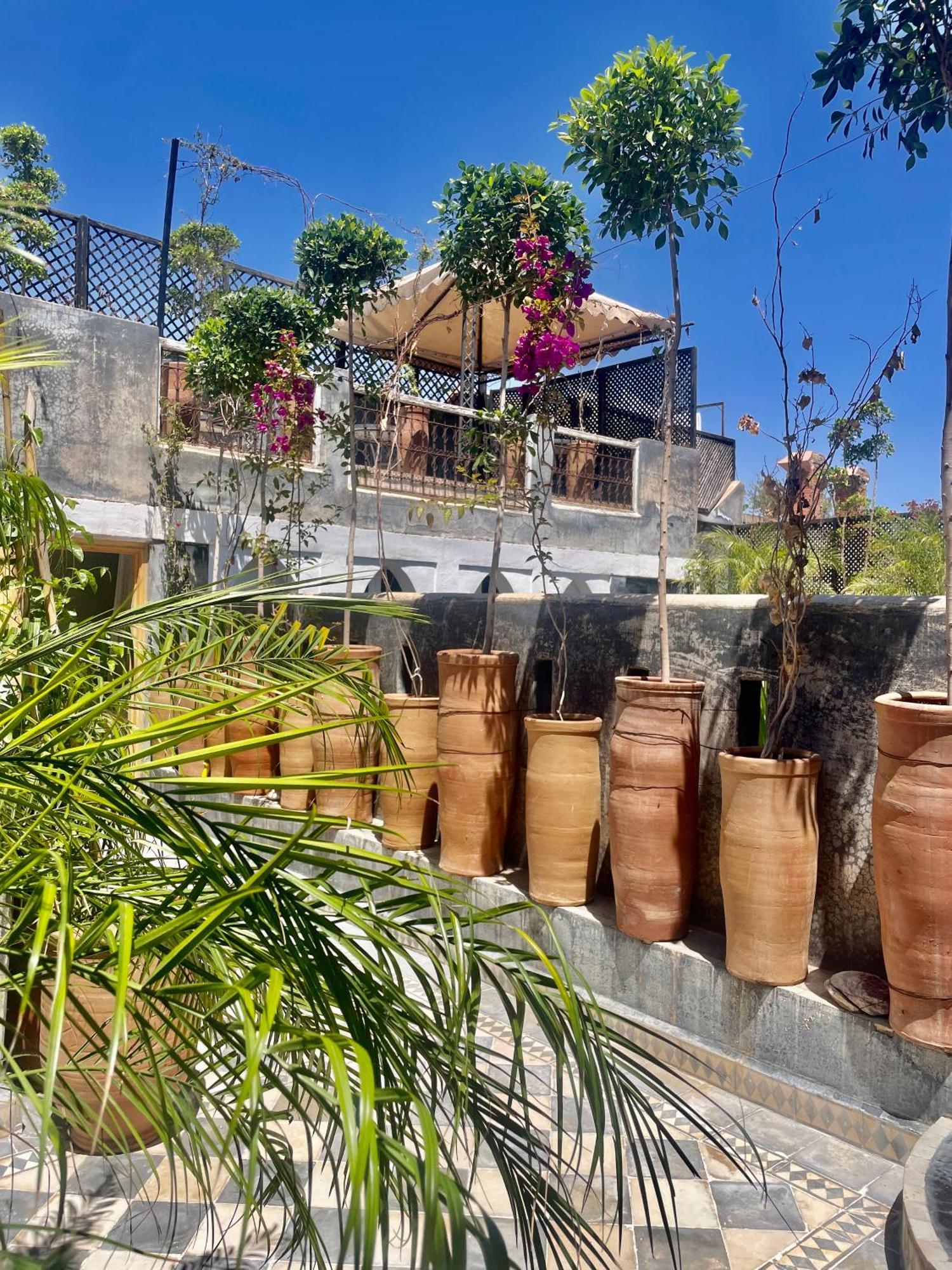 Riad Green Palm Marrakesh Exteriör bild